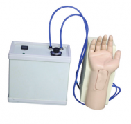 血氣分析成套仿真模型